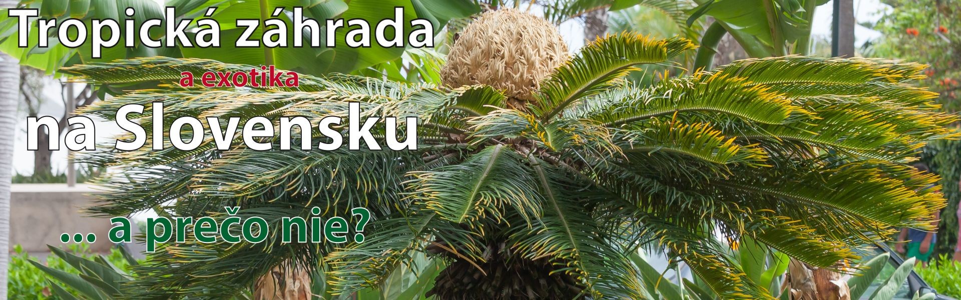 Tropická záhrada na Slovensku
