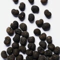 Trachycarpus Fortunei Galícia Lugo 120-150 cm