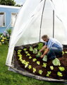 Biogreen Island L zimný fóliový skleník