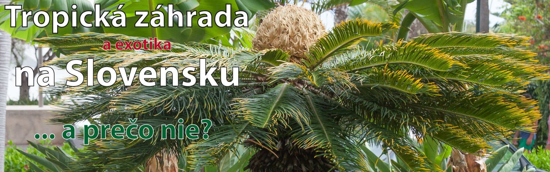 Tropická záhrada na Slovensku