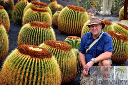 ECHINOCACTUS GRUSONII