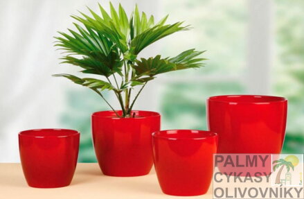 Sada Scheurich Energy red