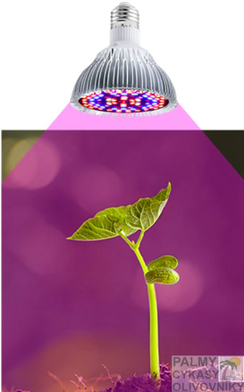 LED Grow light 30W o58mm