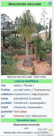 Slonia noha - parametre