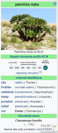 Parametre Chamaerops Humilis