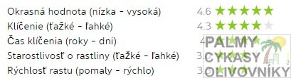 vlastnosti bismarckia nobilis