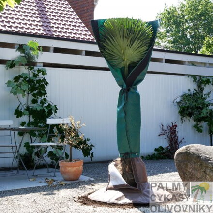Biogreen zimný návlek na palmy