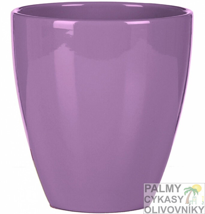 Scheurich vysoká Malva 15cm