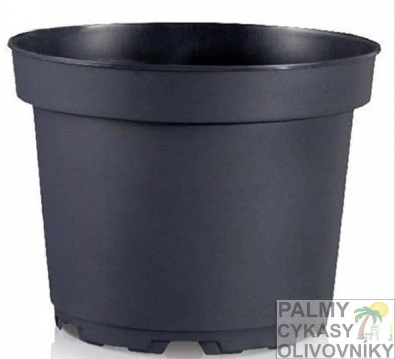 Zakoreňovač SBX 29cm 10L Zakoreňovač SBX 29cm 10L