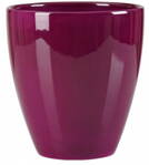 Scheurich vysoká Pure violet 15cm